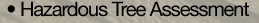 Hazardous Tree Assessment No tree is absolutely safe. At times, even healthy trees fall. Timbertech's Tree Experts can help determine if your landscape contains potentially hazardous trees. Additionally, we will recommend the proper course of care and action.